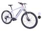 Graues E-Mountainbike mit schwarzen Reifen und Details, auf weißem Hintergrund.