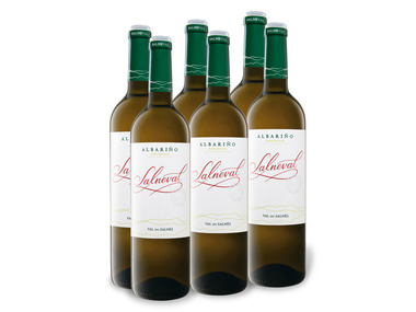 6 x 0,75-l-Flasche Weinpaket Salneval Rías Baixas Albarino DO trocken, Weißwein