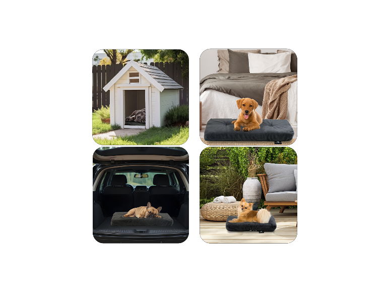 trockenfutter hund netto Superfood Truthahn main image 1