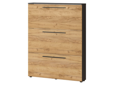 Germania - Schuhschrank »3883 GW-Wildomar«, ideal für schmale Flure (3884 Graphit/Navarra-Eiche-Nb.)