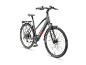 Graues E-Bike mit Gepäckträger und Schutzblechen.