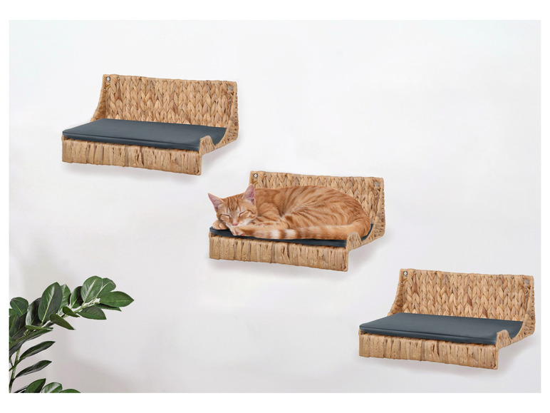 Drei geflochtene Katzenbetten an der Wand mit einer Katze, die auf einem der Betten liegt.