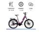 Lila E-Bike mit Spezifikationen: Körpergröße 160-185cm, 28 Zoll Räder, 7 Gänge.