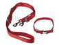 Rotes Hundegeschirr und Halsband von Zoopfari.