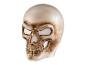 Beige-braune Totenkopfmaske mit Augen- und Nasenöffnungen