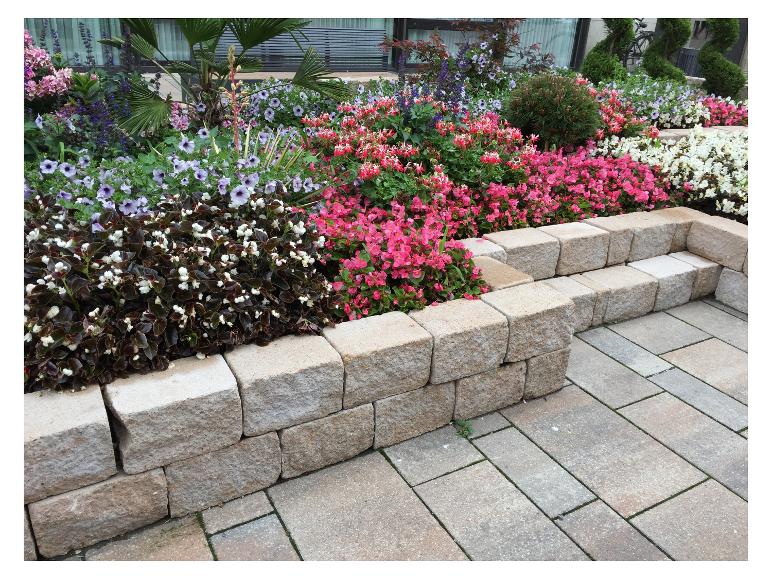 Farbenfrohes Blumenbeet mit verschiedenen Blumen und einer Steinmauer.