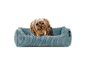 Ein Yorkshire Terrier in einem blauen Cord-Hunde-Bett.