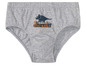 Graue Unterhose mit Dinosaurier-Motiv.