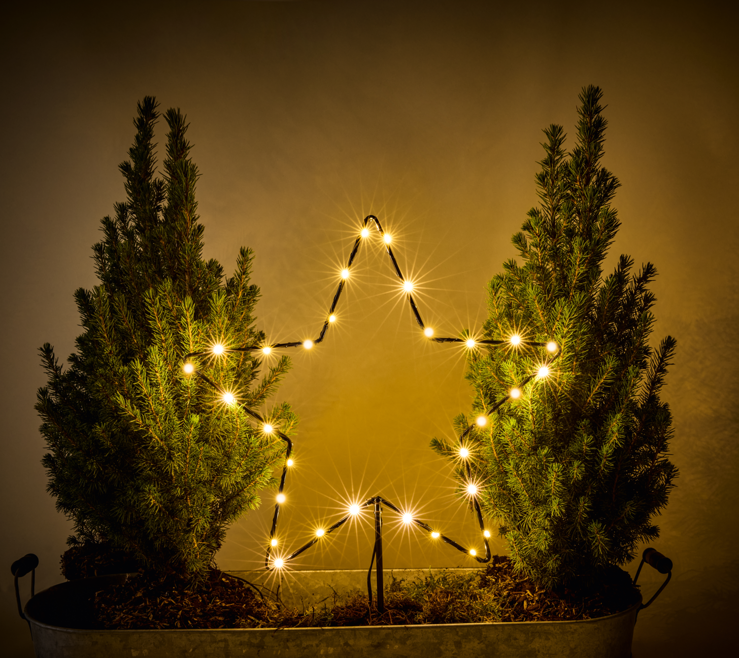 LIVARNO® Garten Dekostecker Weihnachten LED (Stern) – Bild 3 von 4