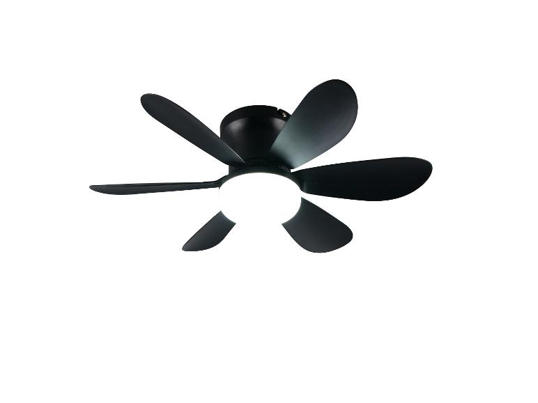 Schwarzer Deckenventilator mit integrierter Beleuchtung