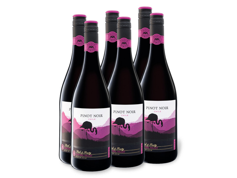 Gehe zu Vollbildansicht: 6 x 0,75-l-Flasche Weinpaket CIMAROSA Pinot Noir Chile Valle Central trocken, Rotwein - Bild 1
