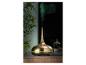 Goldener Aroma-Diffusor mit grünem Nebel und Beleuchtung, neben einer Pflanze auf Holzoberfläche.