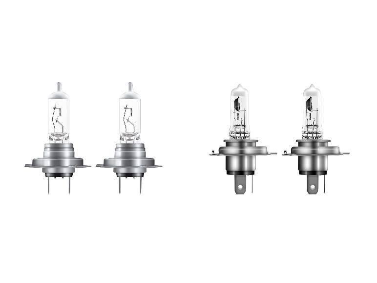 Zwei Paare von Kfz-Halogenlampen, eine mit drei Stiften und eine mit flachem Stecker.