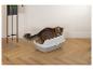 Katze in einem Katzenklo mit einer Pflanze links.