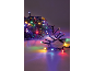 Bunte Weihnachtsbeleuchtung auf einem Tannenzweig, die eine festliche Atmosphäre schafft.
