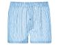 Blaue Boxershorts mit Streifen.