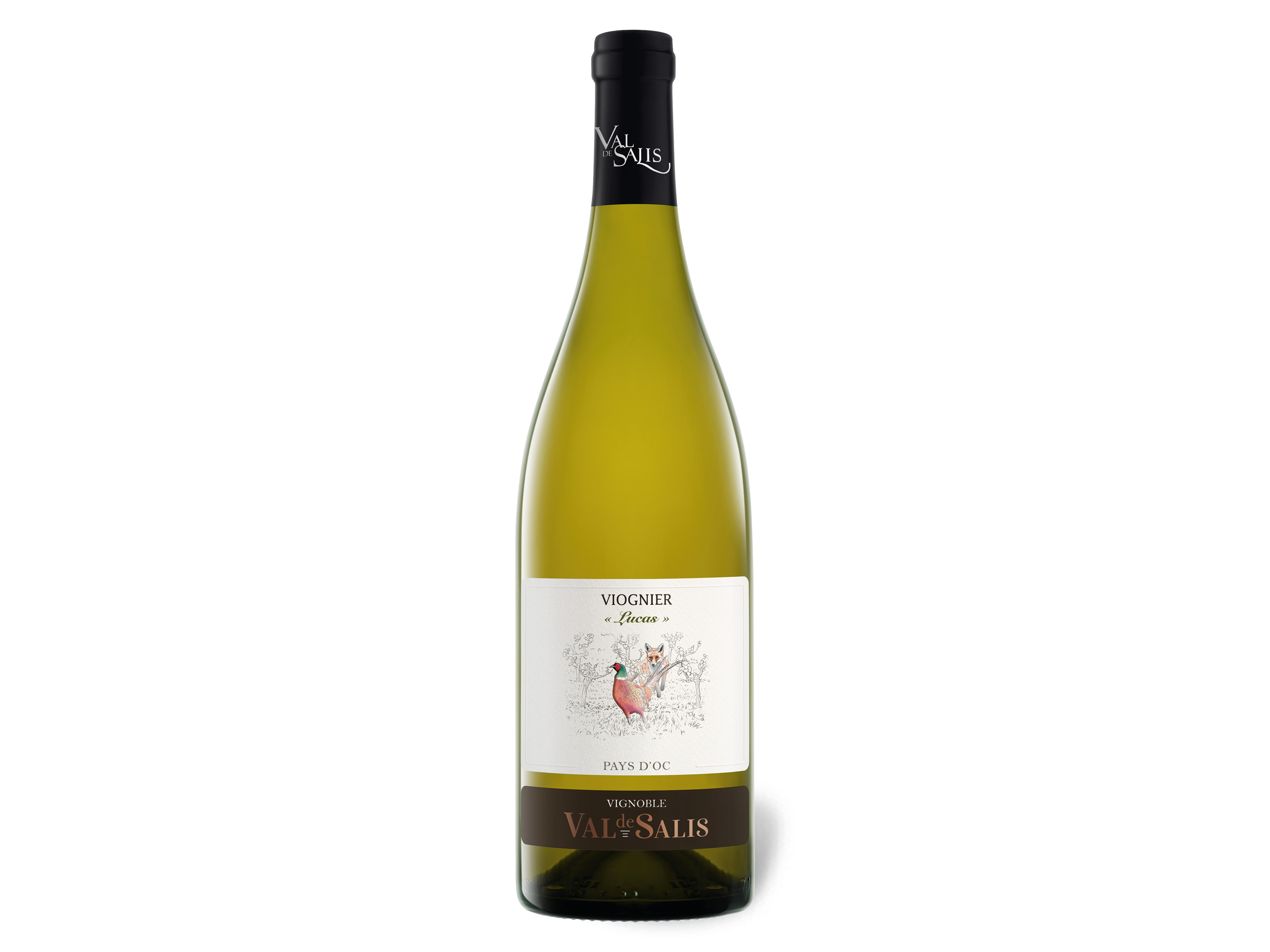 Val de Salis Viognier Lucas Pays d%27Oc IGP trocken, Weißwein 2021 Wein & Spirituosen Lidl DE