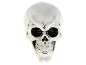 Weißer Totenkopf auf schwarzem Hintergrund