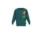Dunkelgrünes Kinder-Sweatshirt mit Dinosaurier-Motiv und „DINO EXPERT“-Text.