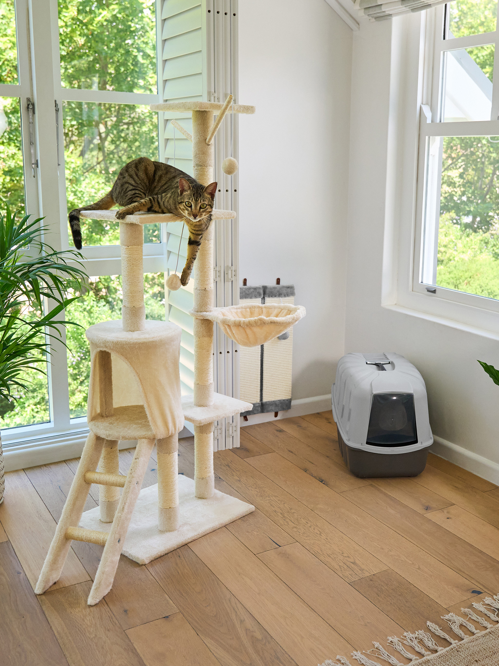 Getigerte Katze auf einem Kratzbaum mit Katzentoilette in einem hellen Raum.