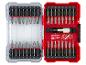 Schraubendreher-Bit-Set mit verschiedenen Spitzen, darunter PZ, PH, TQ, TT, H, TW, SP und S, in einer rot-transparenten Box.