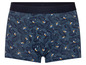 Blaue Boxershorts mit tropischem Tukan-Muster.