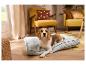 Beagle-Hund liegt auf grauem Hundekissen in einem Wohnzimmer mit gelben Möbeln.
