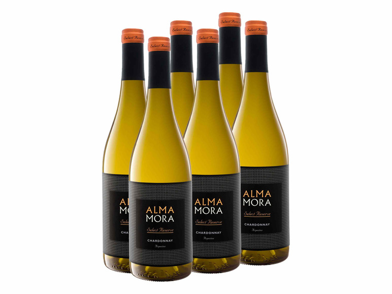 x Argentinien 6 Weißwein Mora Select trocken, 0,75-l-Flasche Chardonnay Weinpaket Alma Reserve