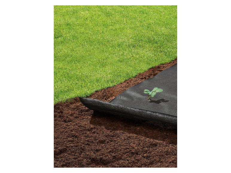 Schwarzes Unkrautvlies mit einer jungen Pflanze und Rasen