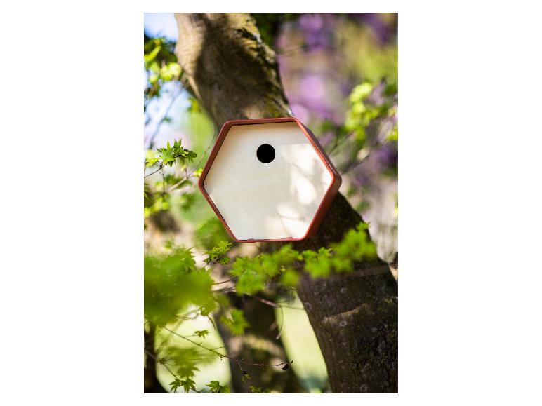 Sechseckiges Vogelhaus in einem Baum, umgeben von grünen Blättern.
