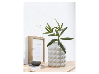 monstera samen keimen lassen Monstera deliciosa Samen kaufen (geprüfte Keimquote) – Pflanzpaket main image 1