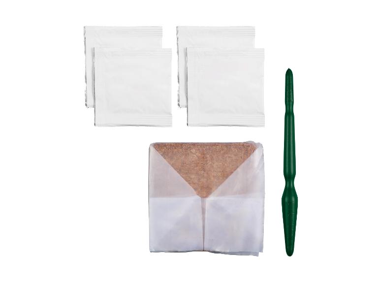 Samenpakete, eine Saattablette und ein Saatwerkzeug.