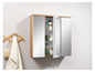 Spiegelschrank für das Badezimmer mit Regalen.