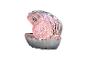 Silberne Muschel mit einer rosa glitzernden Perle