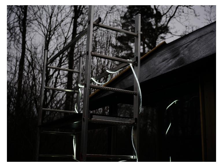 LIVARNO® Leuchtschlauch »The Renovator« auf Gerüst, beleuchtet dunklen Wald.