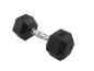 Schwarze 10 kg Hantel mit verchromtem Griff