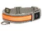 Graues LED-Hundehalsband mit orangefarbenem Leuchtstreifen und Metall-D-Ring.
