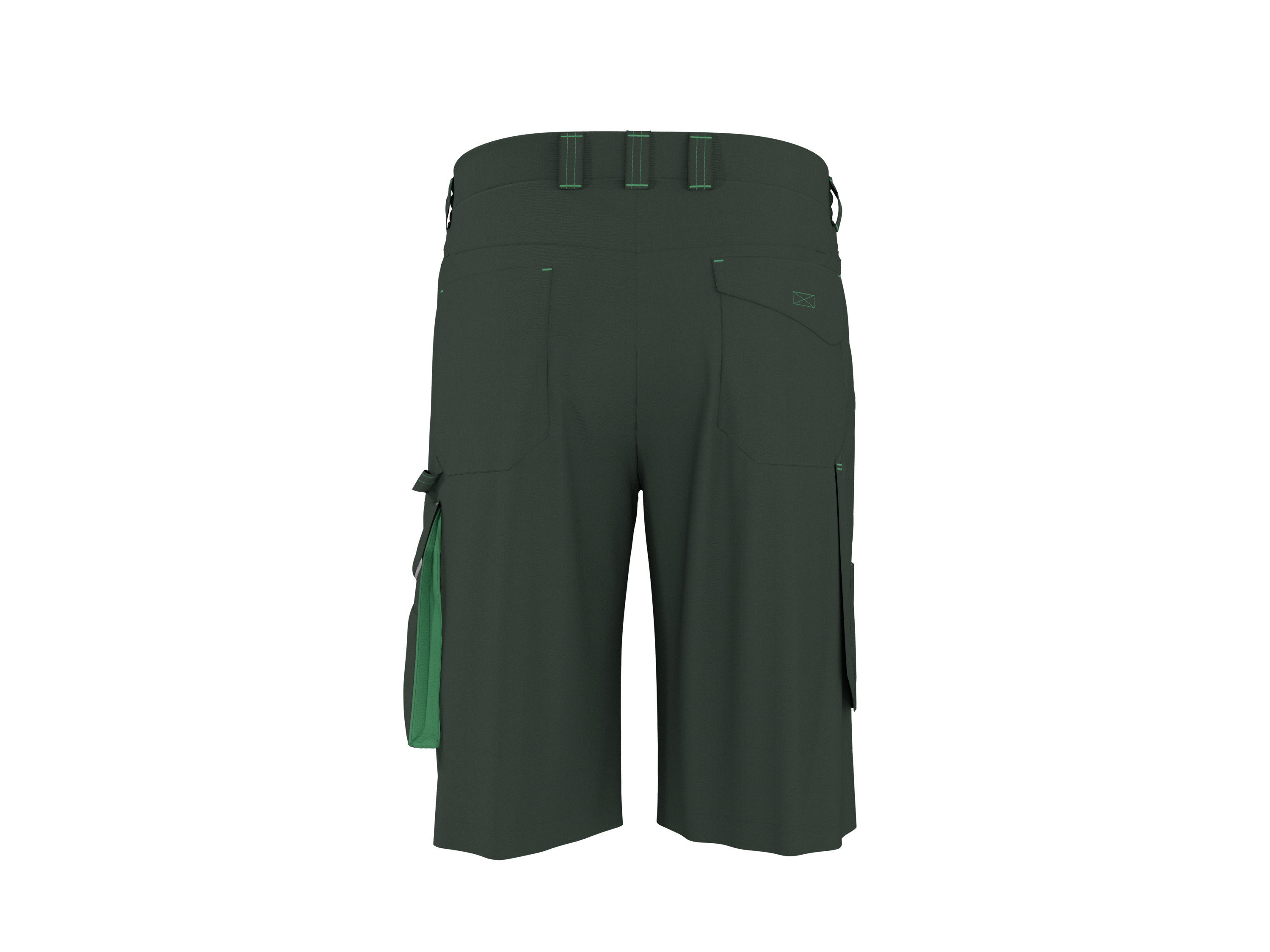 PARKSIDE® Herren Arbeitsshorts (Grün, 54)