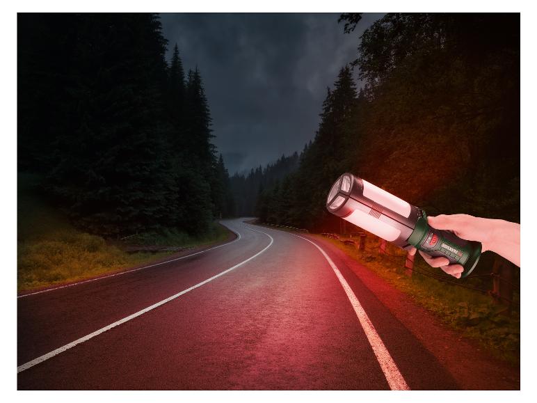 Eine Hand hält eine Parkside-Taschenlampe, die auf einen Weg durch einen Wald gerichtet ist.