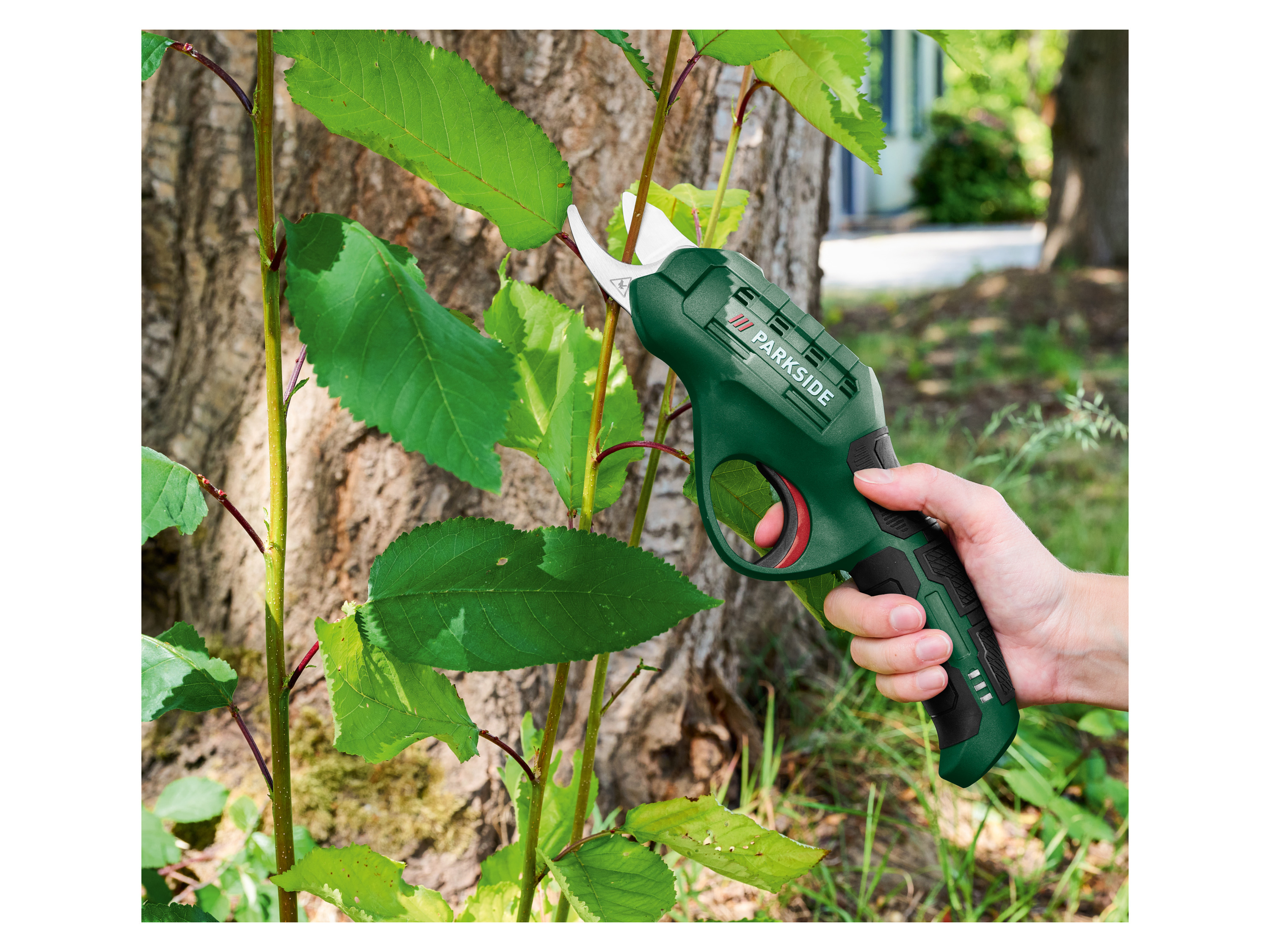 Thumbnail - PARKSIDE® 4 V Akku-Gartenschere »PAGS 4 A1«, ohne Netzteil