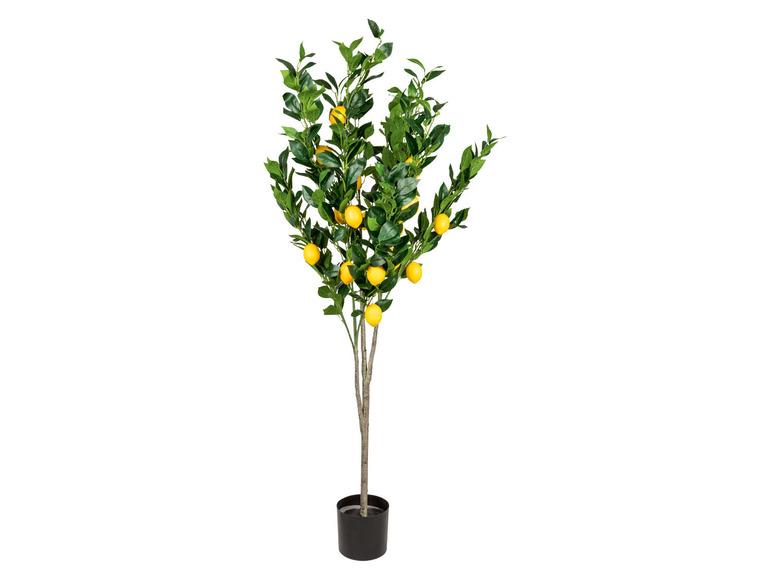 Gehe zu Vollbildansicht: LIVARNO home Kunstpflanze Zitronenbaum, 1,6 m - Bild 1