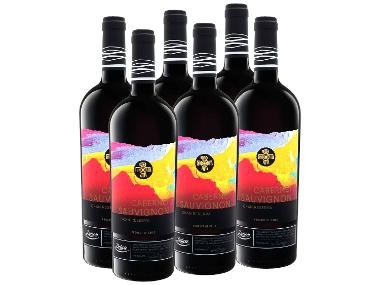 6 x 0,75-l-Flasche Weinpaket Deluxe Cabernet Sauvignon Gran Reserva Valle del Rapel trocken, Rotwein