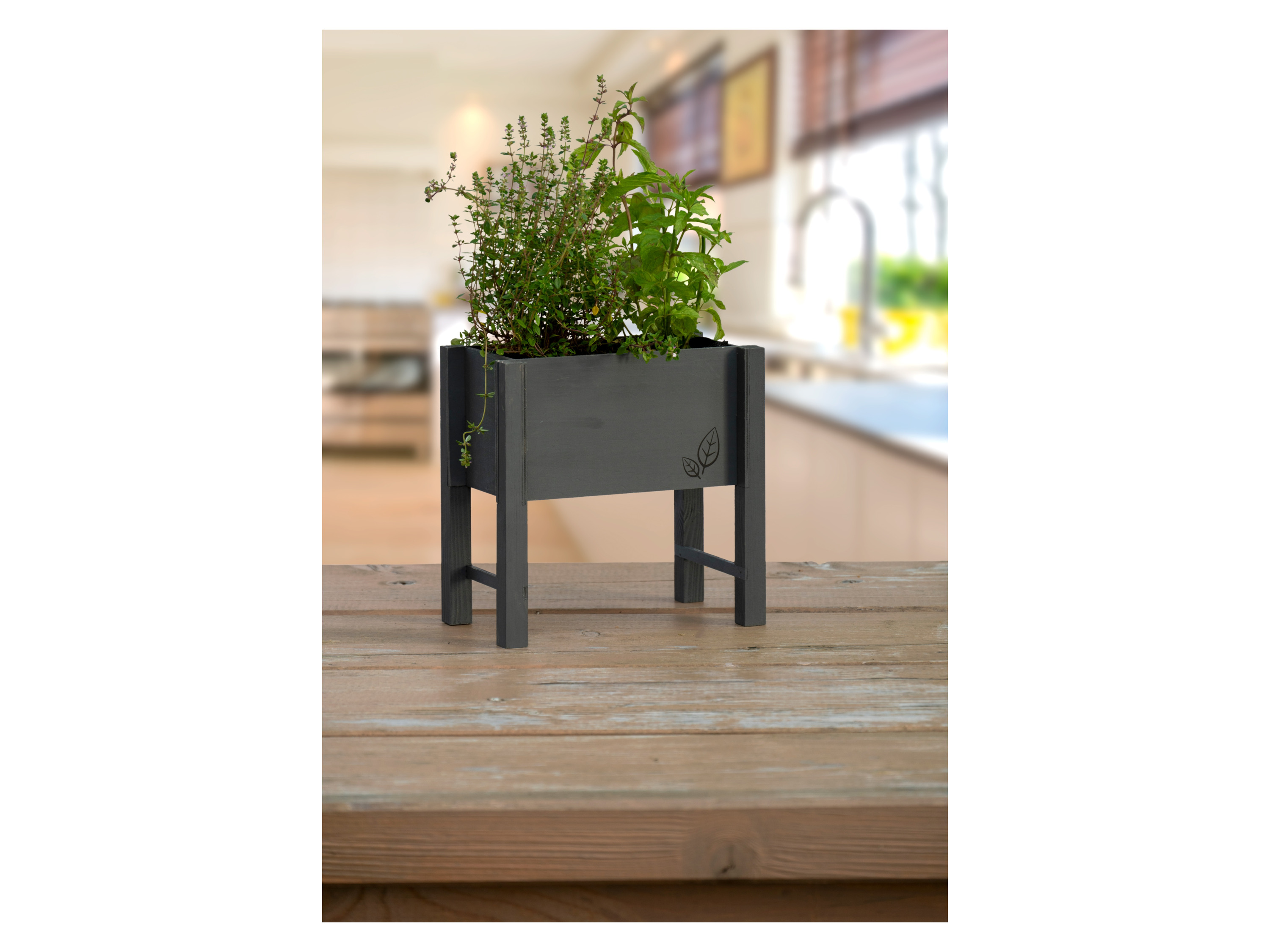 Thumbnail - dobar Tischbeet für Kräuter (Anthrazit)