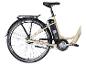 Beiges E-Bike mit Gepäckträger, Akku und Kettenantrieb.