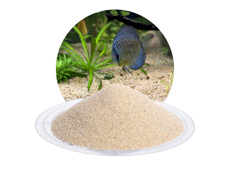 Aquariensand auf einem Teller mit Diskusfisch und Wasserpflanzen im Hintergrund.