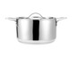 Ein Edelstahltopf mit Deckel.