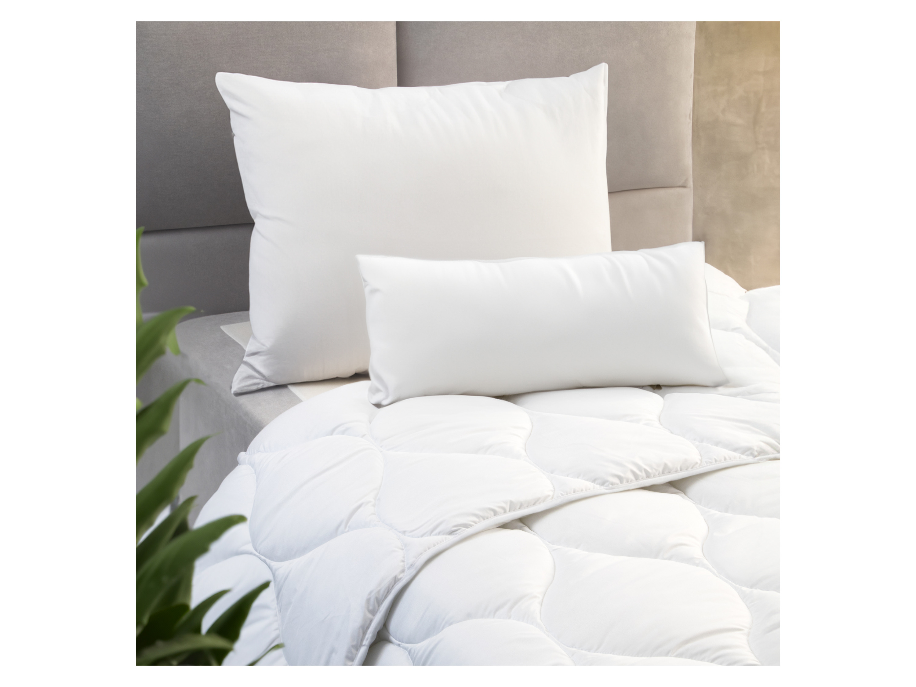 JOHN COTTON Kissen Doppelpack Super Soft (80 x 80 cm) – Bild 2 von 3