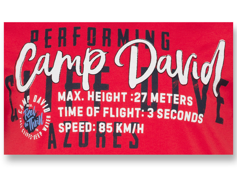 Gehe zu Vollbildansicht: Camp David Herren T-Shirt aus reiner Baumwolle - Bild 8