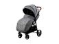 Grauer Kinderwagen mit Verdeck und braunem Griff auf weißem Hintergrund.