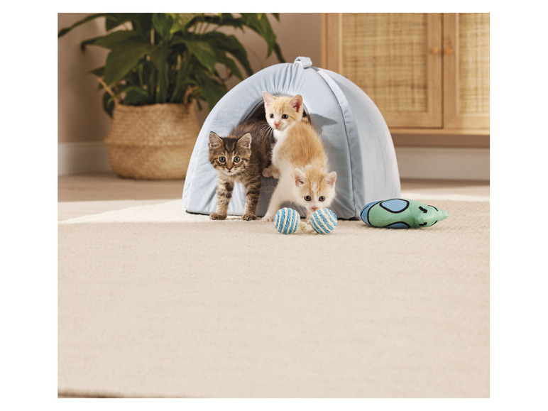 Gehe zu Vollbildansicht: zoofari® Katzenspielzeug, 5-teilig, mit Katzenminze - Bild 2